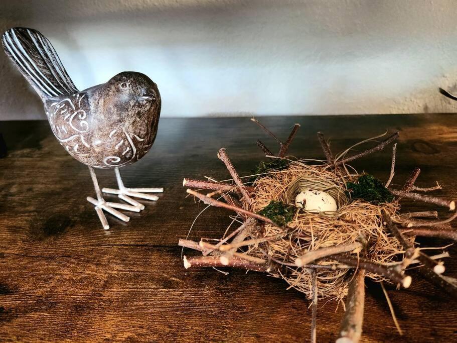 The Nest Downtown Dunedin No Kids, No Pets Exterior foto